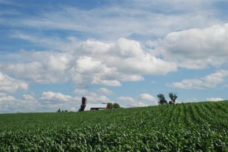 The Plain People in a Not-So-Plain World Image